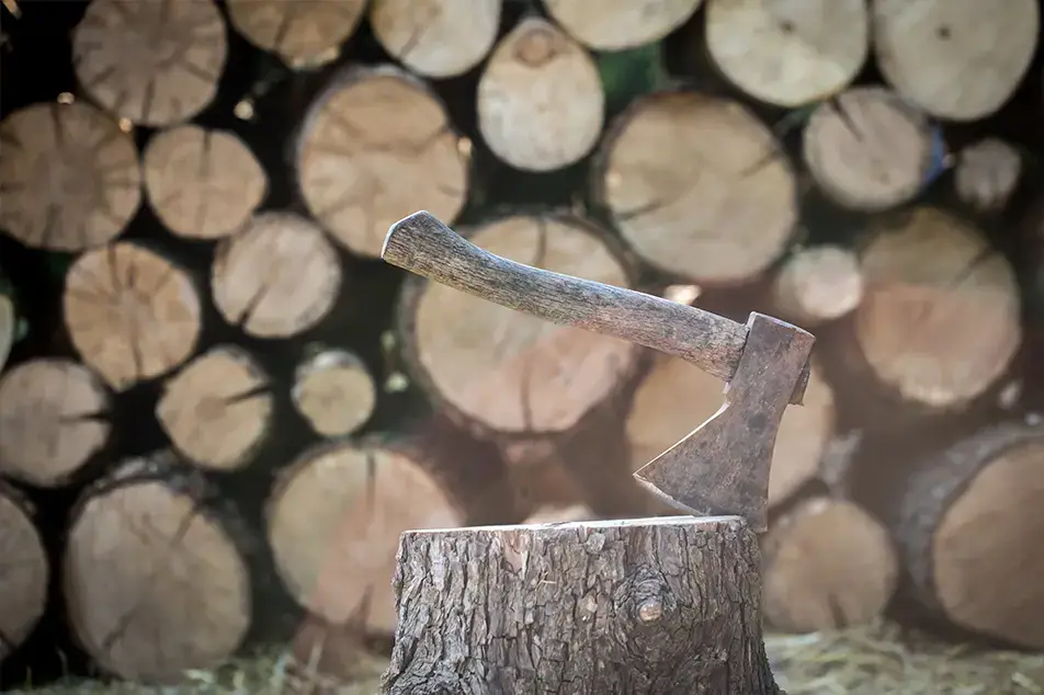 Trabalho em campo CRMT